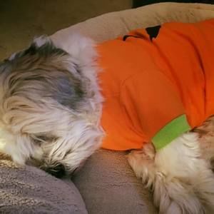 Meet your Posher, Angela